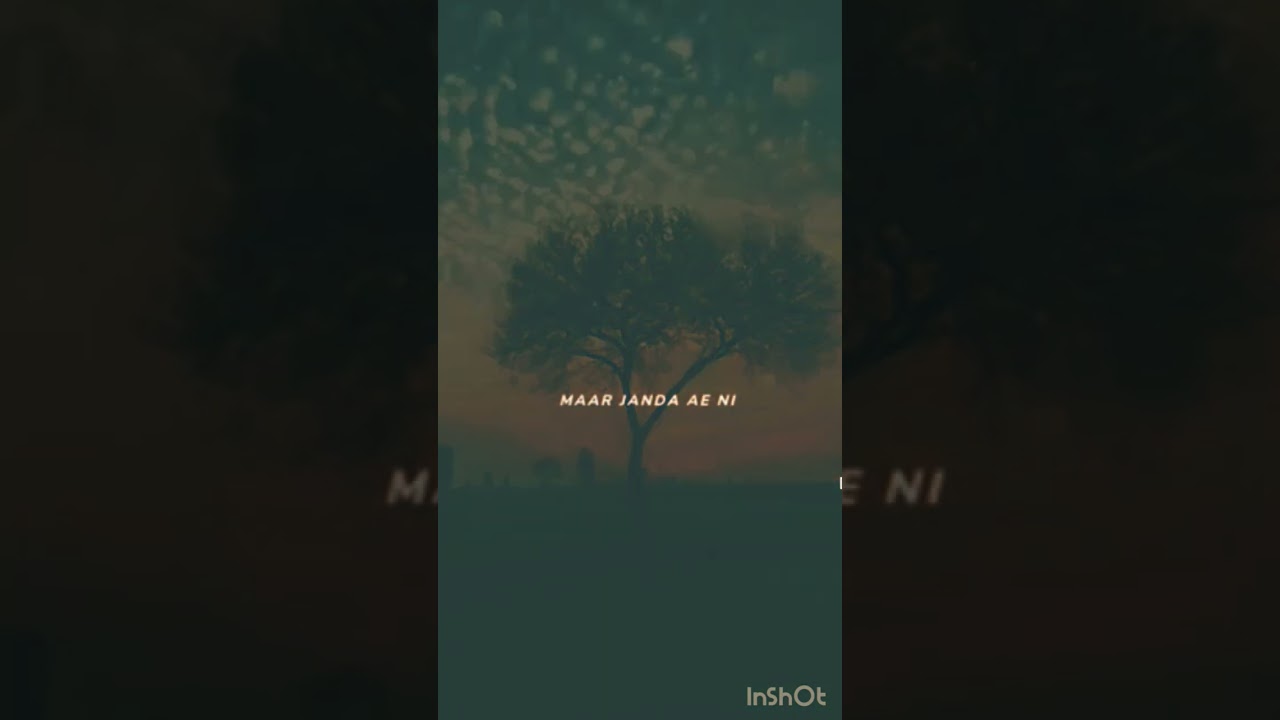 mi amor lofi slowed and reverb!! #songs #lovesong #edit #love #lofi #love #explorepage #explore