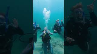 Open water Mid week diving Goat Island Auckland NZ