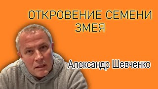 Возлюби себя как Бога / Искушение 