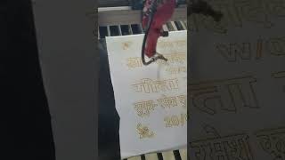granite pathar name plate CO2 laser cutting machine #shorts #granite #nameplates