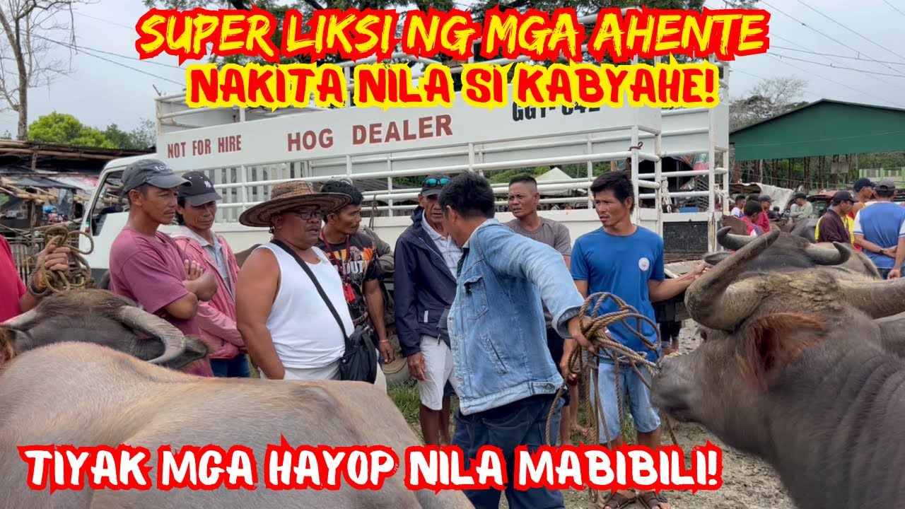 SUPER LIKSI NG MGA AHENTE, NAKITA NILA SI KABYAHE, TIYAK MGA HAYOP NILA MABIBILI! | SOLLE'S G.