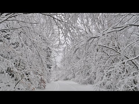 Virtual Drive Through