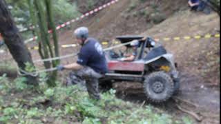 Auslese Trophy 2017