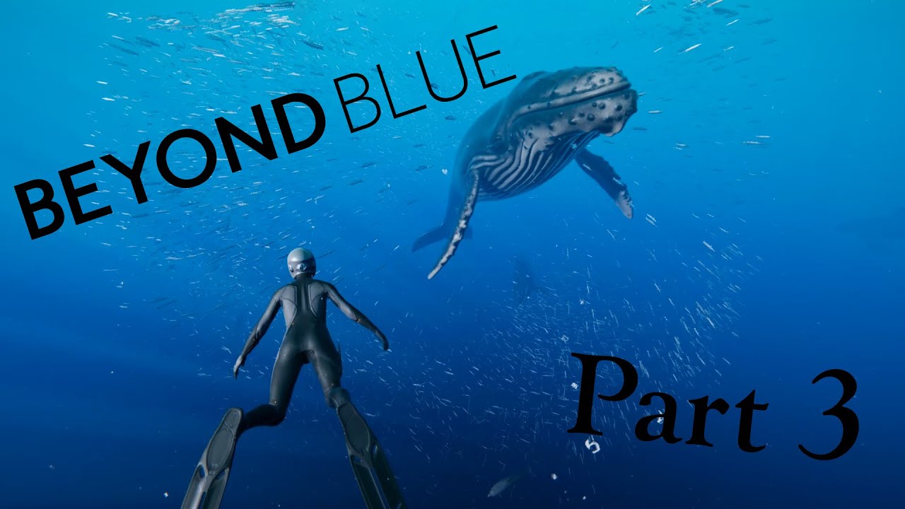 Beyond Blue Part 3- Out in the Open Ocean