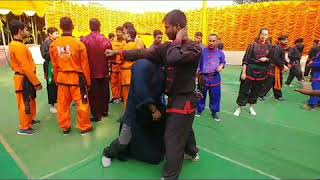 Shaolin Luohan Shi Ba Shou ( 18 luohan)