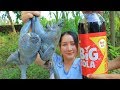 Yummy Black Chicken Roasted Cocacola - Black Chicken Cooking - Cooking With Sros
