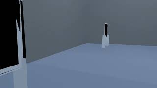 Mirror Reflection (Animation Test)