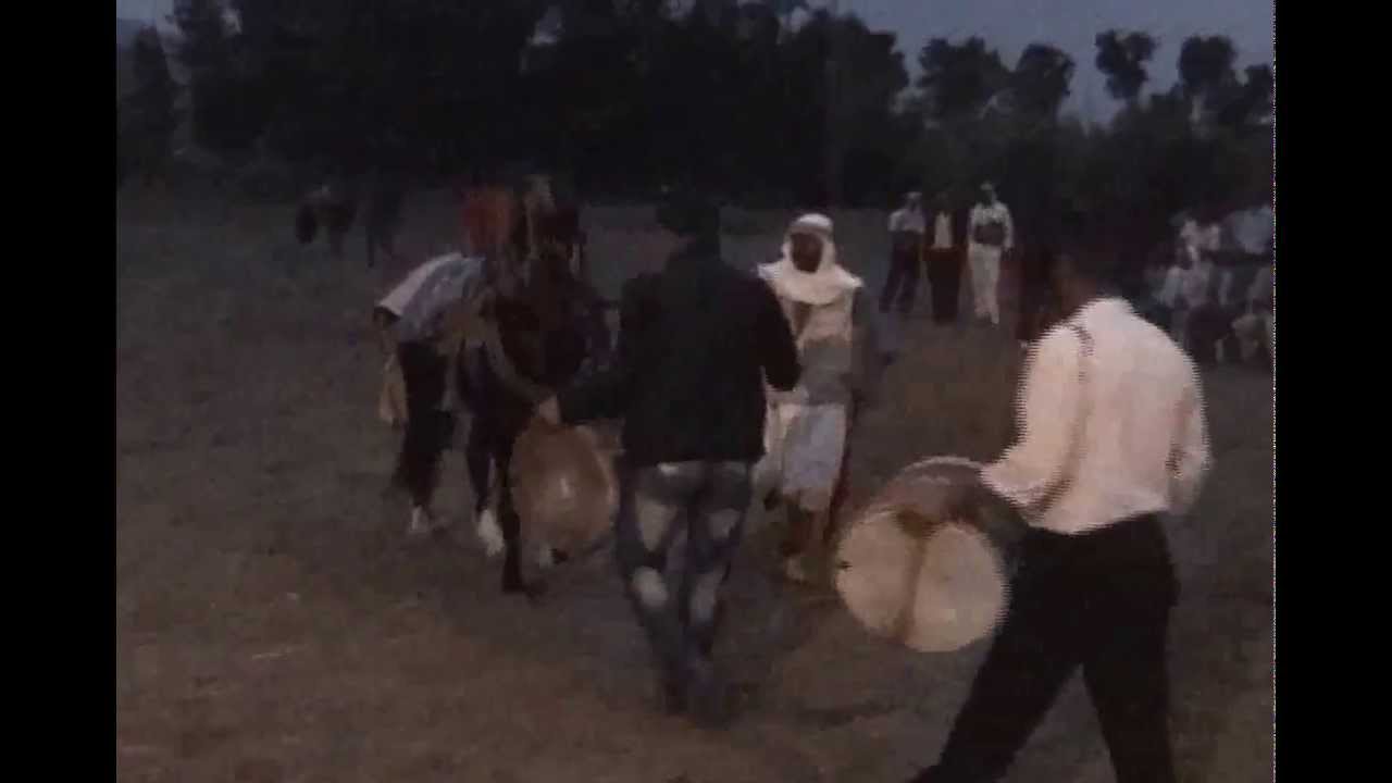 noureddine dabousi bousalem