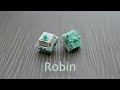 Gateron Robin Switch Typing Sounds & Review