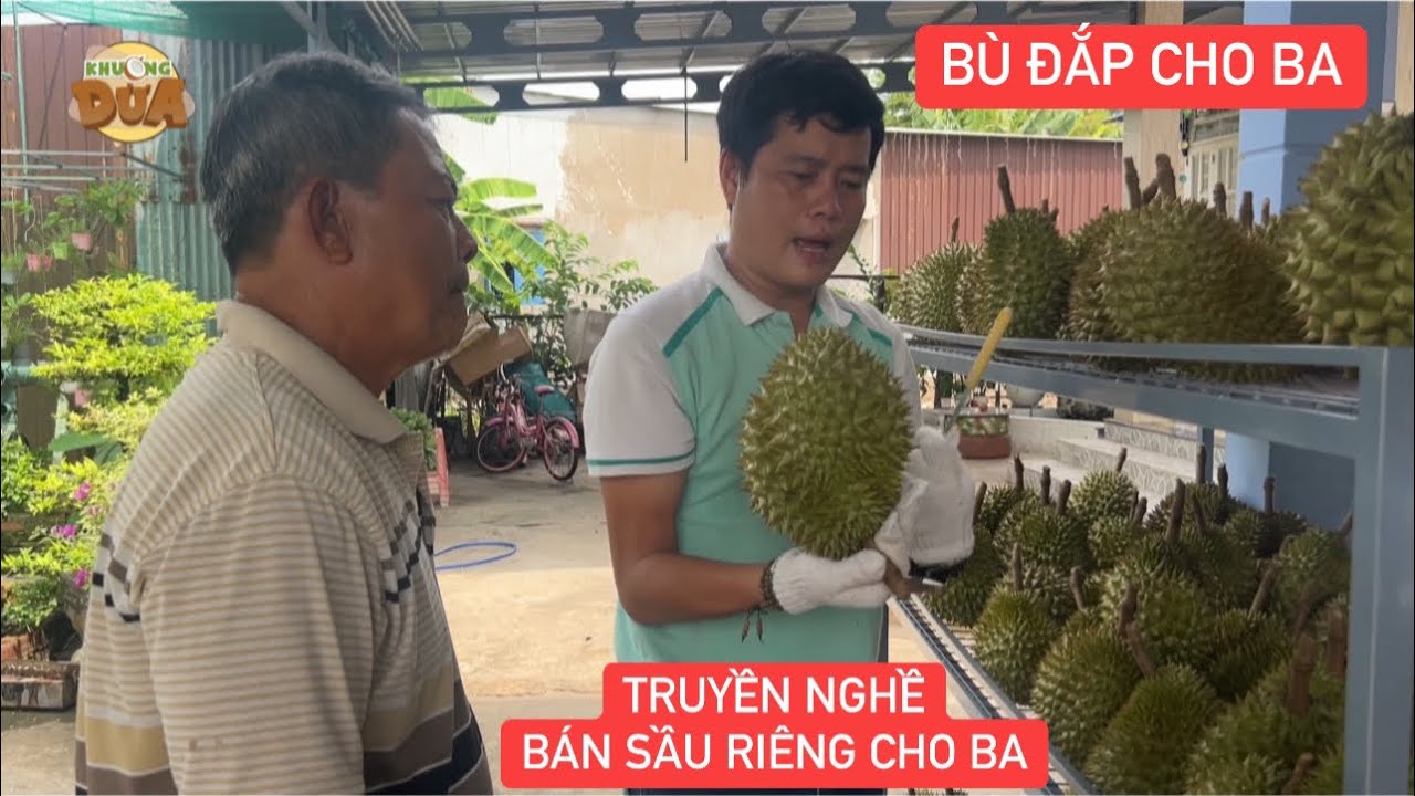 Khương Dừa truyền nghề bán sầu riêng cho ba vợ bù đắp những lần phá hoại “lên bờ xuống ruộng”