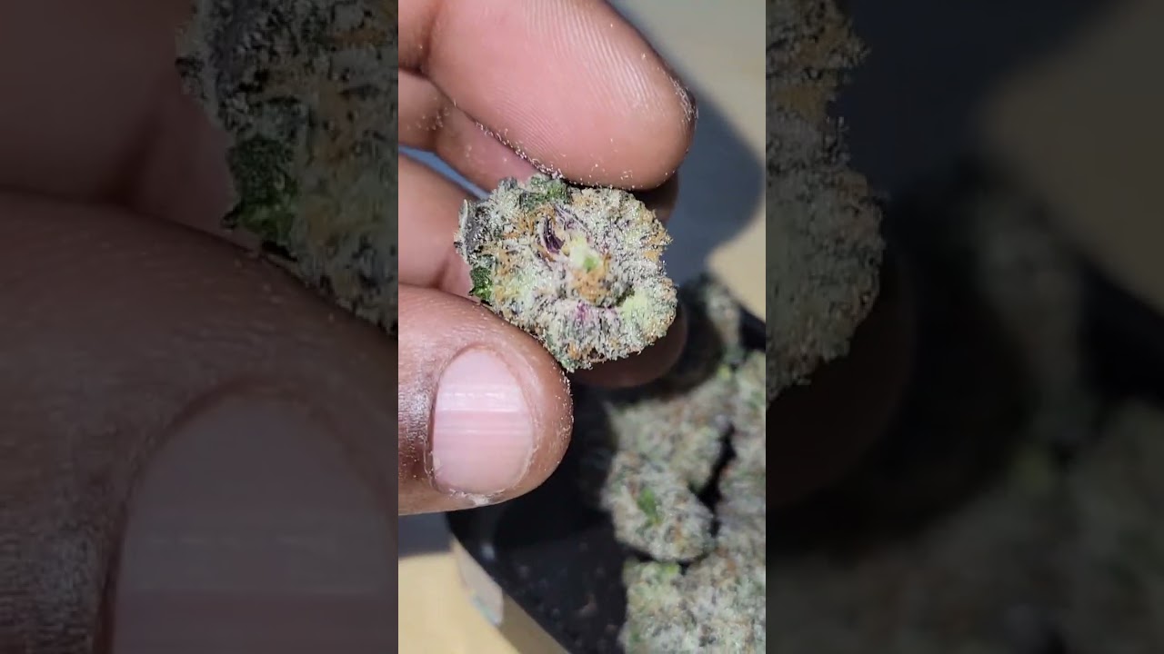 Tuscan Truffle Butter ( white truffle bx1) cultivated by Fiore