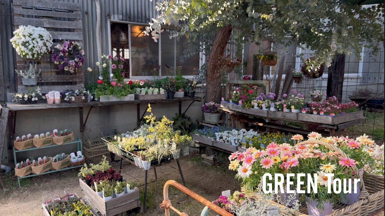 古倉庫をリノベーションしたお店はレトロな空間に春のお花と物語がある寄せ植えで彩られたお洒落で可愛いく素敵なお店！| atelier KLEE | 園芸/ガーデニング店巡り | 岡山/ 倉敷