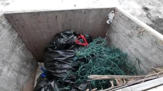 recycle christmas lights