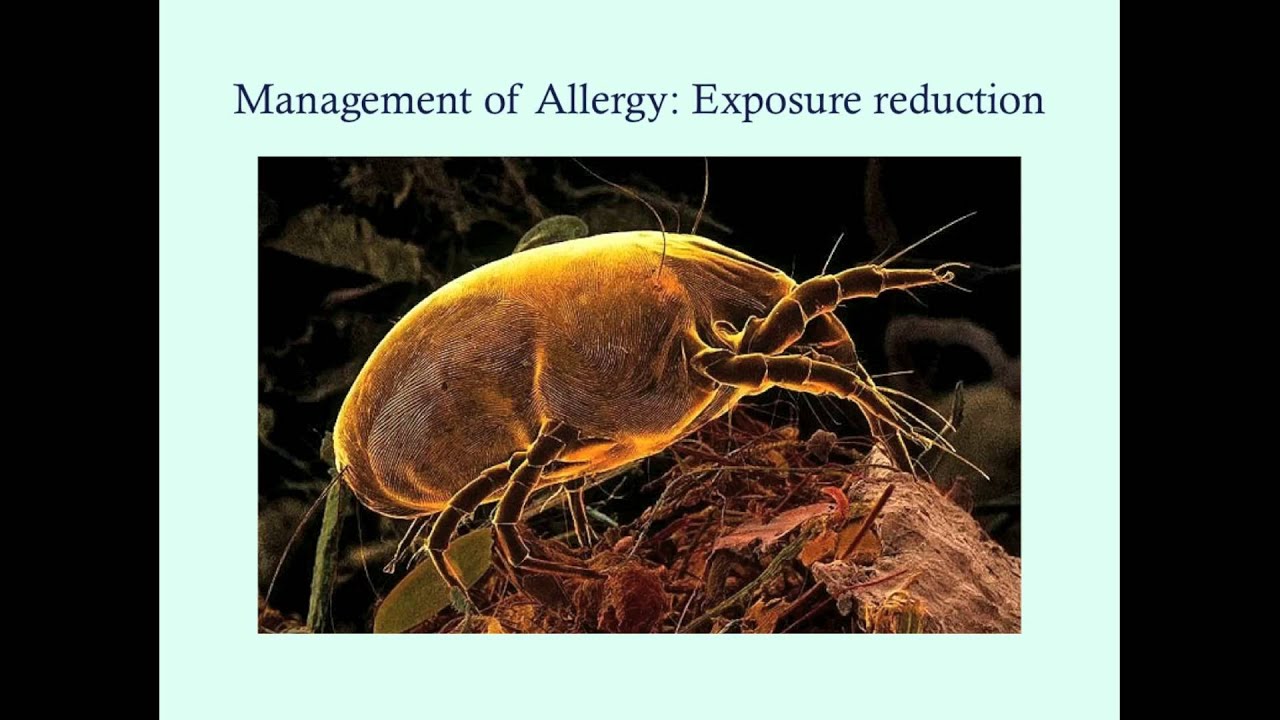 Общее лечение аллергии – серия медицинских обзоров CRASH!