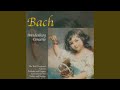 Miniature de la vidéo de la chanson Brandenburgisches Konzert Nr. 3 G-Dur, Bwv 1048: Ii. Adagio