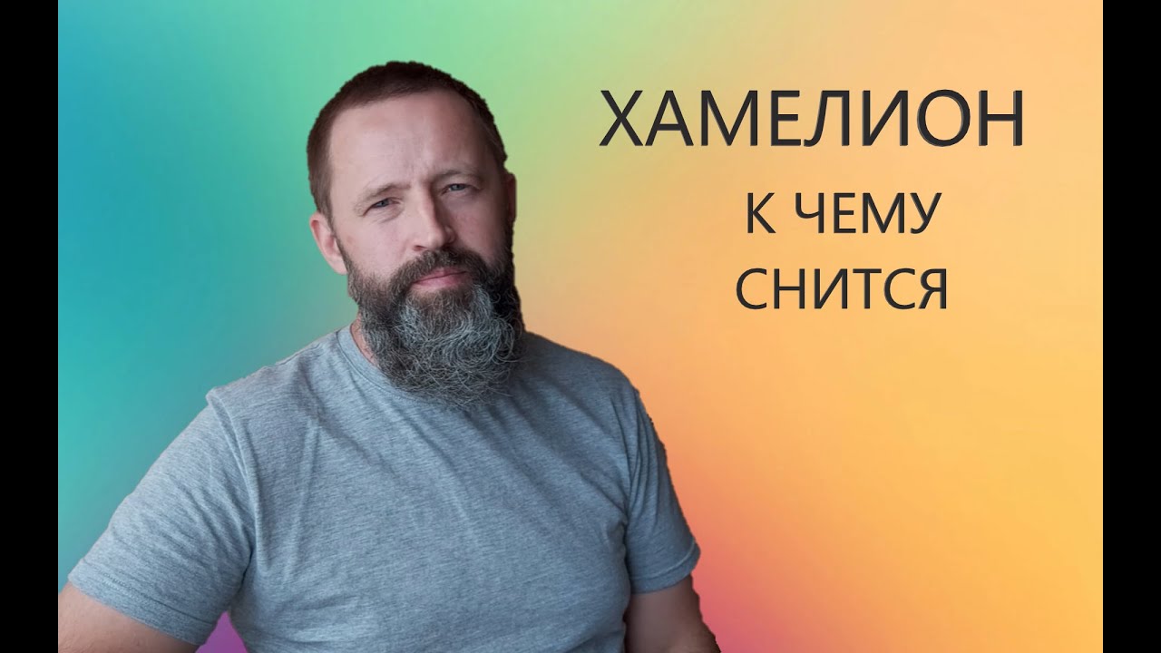 ХАМЕЛЕОН. К чему снится Хамелеон.