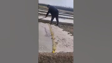 Rice Field Irrigation Methods Sharing - Good Methods Can Improve Efficiency