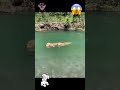 GUAU 😲 Ahora soy un niño grande 🐶 Videos de Perros Chistosos