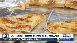 UW-Madison hired professional cheese tasters: Here's how their research is going