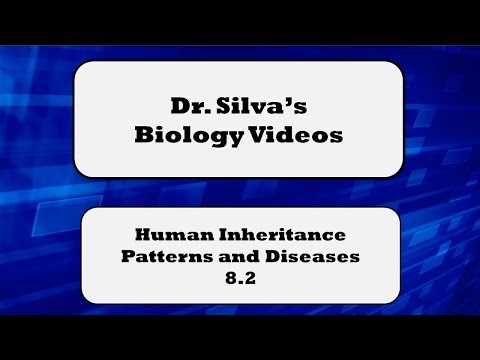Human Inheritance patterns and diseases – 8.2 – Biol 189