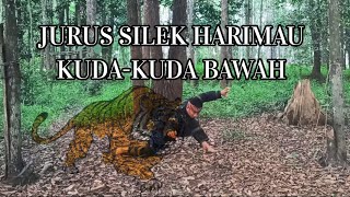 JURUS silek tuo HARIMAU KUDA-KUDA bawah #silektuo #minangkabau #trending