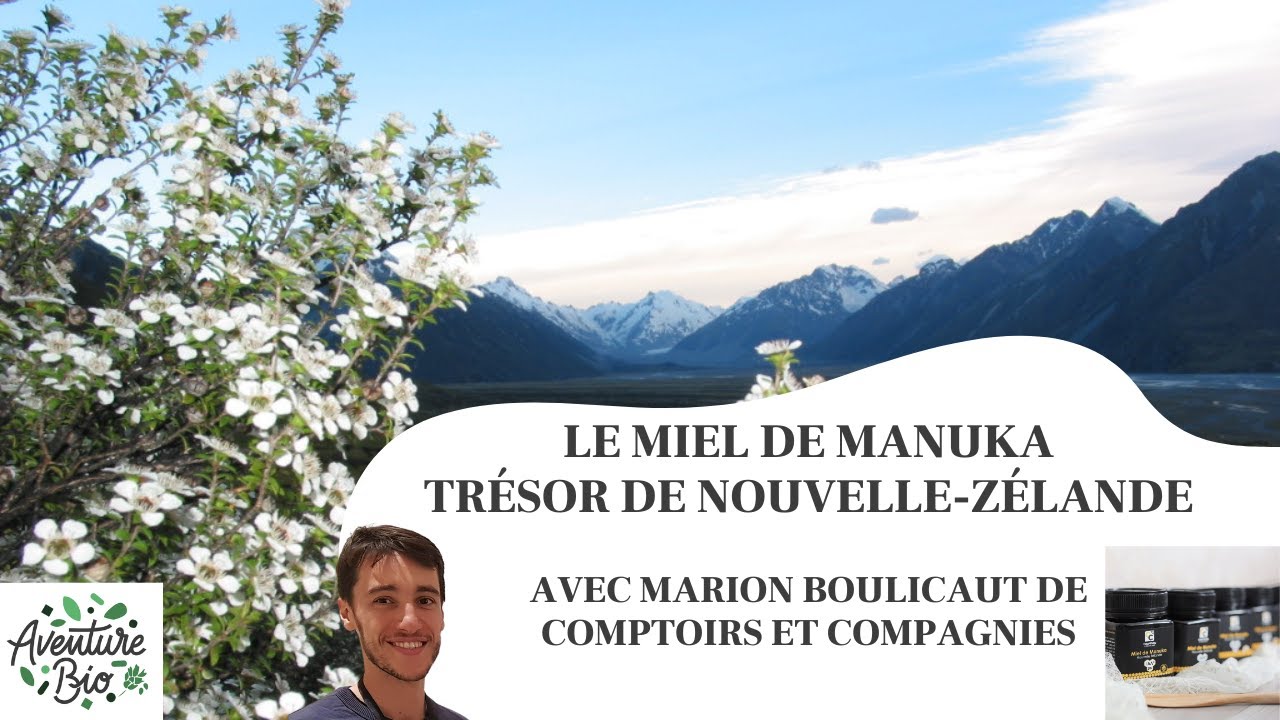 Miel de Manuka bio - Comptoirs & Compagnies