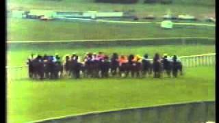 Horse Racing 1984 Irish 1000 Guineas Curragh. Katies.avi
