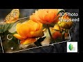 Download 3d Frame Photo Editing Snapseed Tutorial Keren Dan Mudah