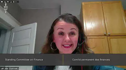 MP Dzerowicz asks Coalition Canada about guaranteed basic income