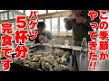 【大阪グルメ 泉南田尻漁港の牡蠣小屋】今年もオープンしてます！海のすぐそばで楽しめる蒸し牡蠣の食べ放題！今年は1人蒸し牡蠣も！ランチタイムに楽しんで〜