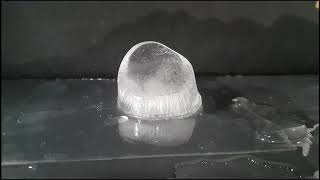 Ice Cube Melting - Time Lapse Photography