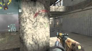 【AVA】CANNON AK47 Lion ４KILL