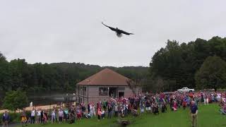 Bald Eagle Released to the Wild in Virginia