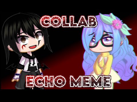 ECHO meme (collab) || ⚠️ Flash warning ⚠️ || Chocolate UwU