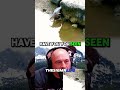 How SMART Birds Use Bread as Bait for FISHING | JRE #joerogan #jreclips #animalshorts