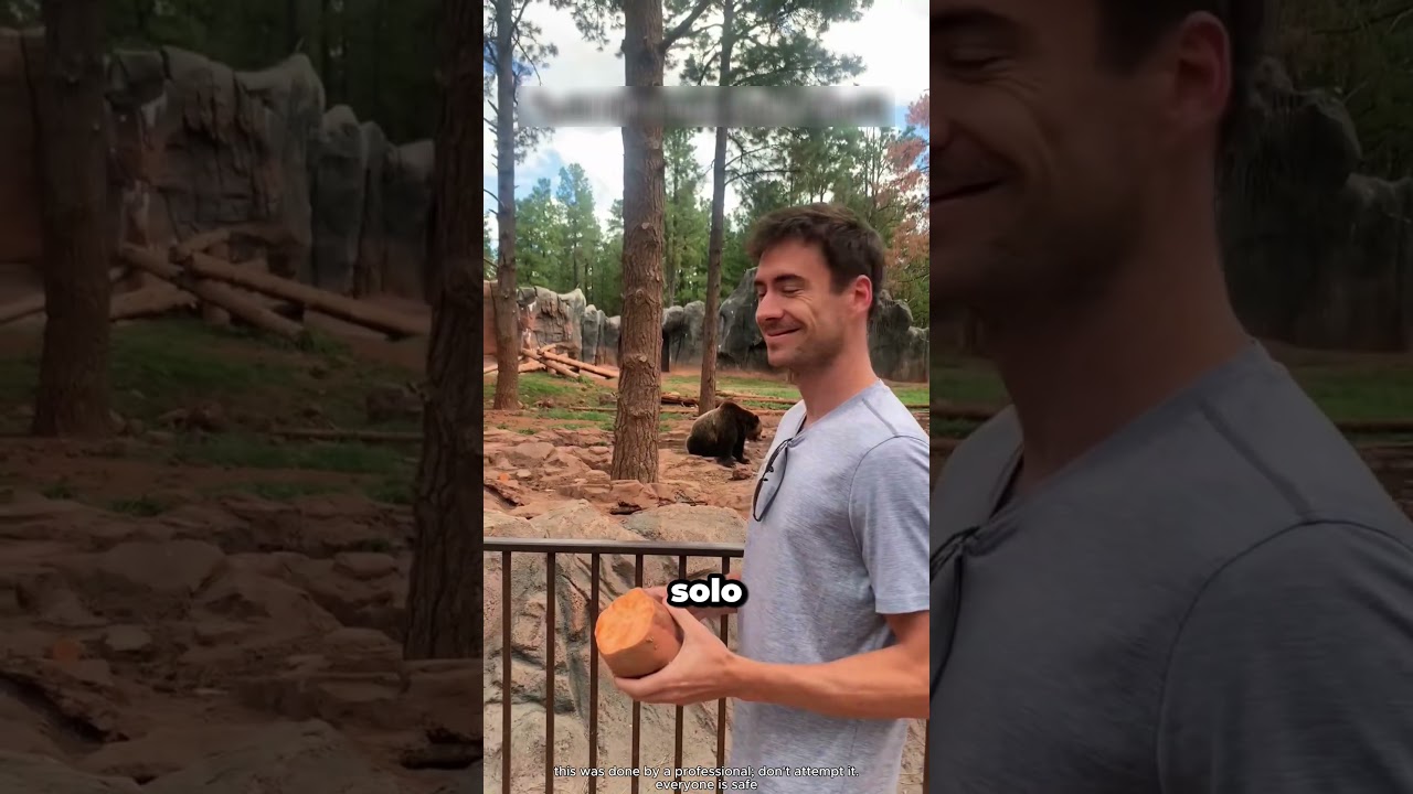 ¿Por qué nunca debes molestar a un oso?