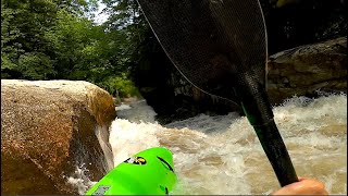 Gorilla Gone Wrong (Entry #18 Beaters For All 2021)