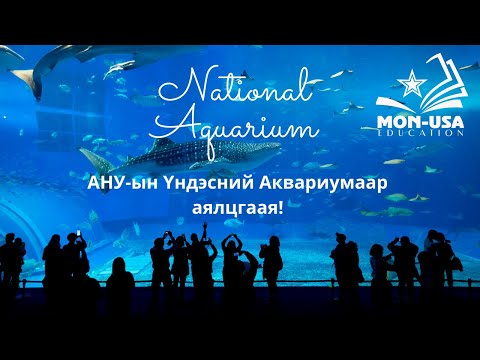 Видео: Балтимор дахь үндэсний аквариум: Зөвлөмж, аялал, хямдрал