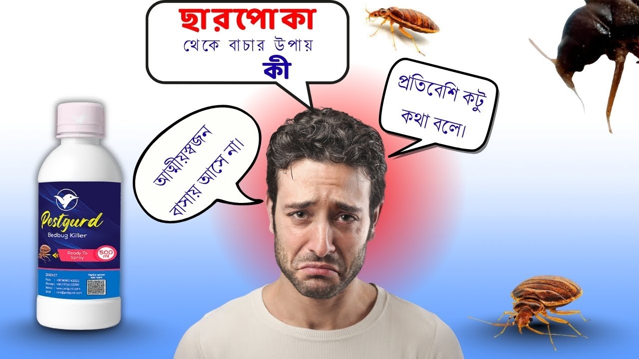 Charpuka Insect ছারপোকার কারণে আত্মীয়রা বাসায় আসতে চায় না। ছারপোকা তাড়ানোর উপায় # ...