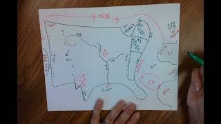 Mapping Fluency