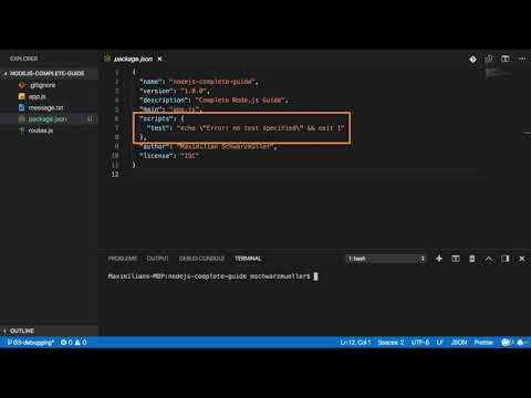 2  Understanding NPM Scripts