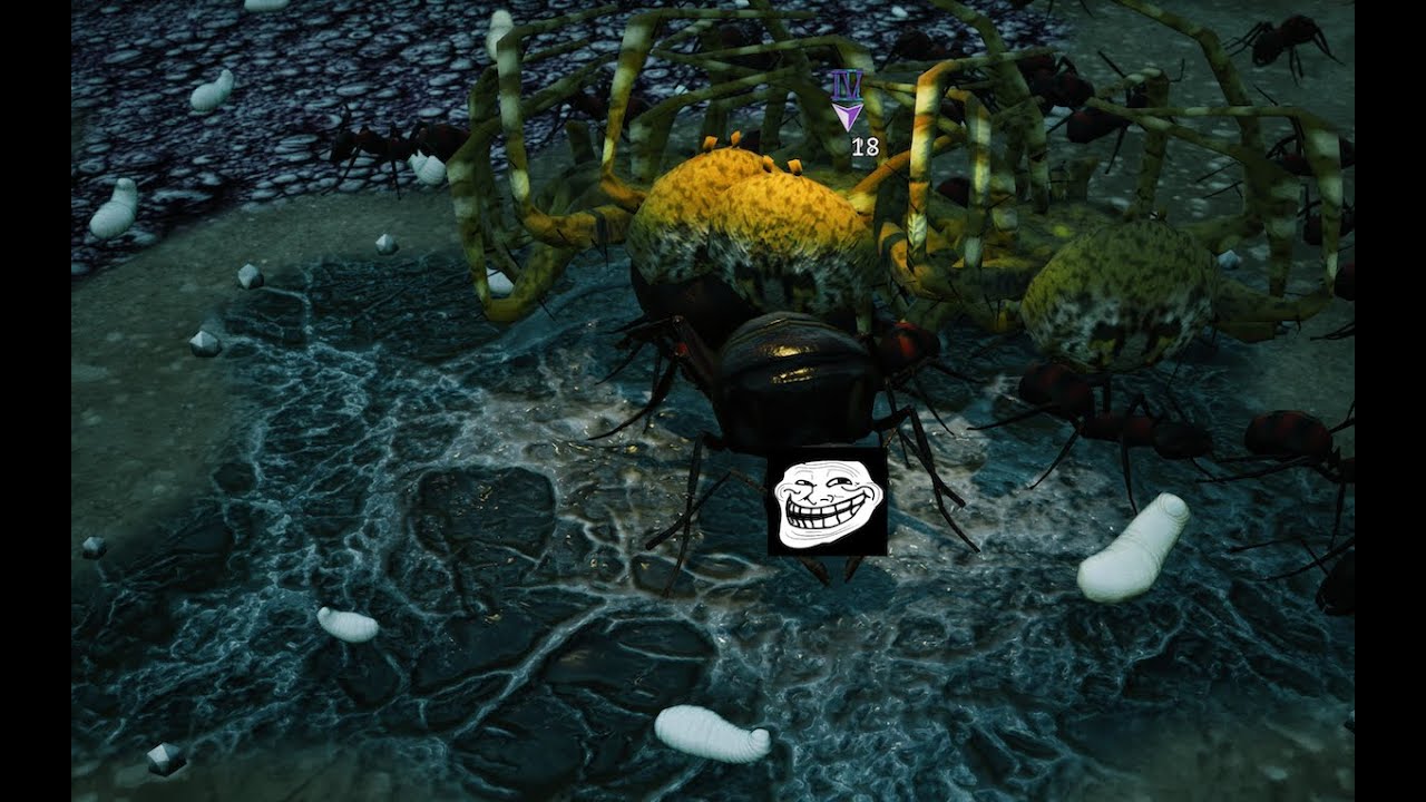 Empires of the Undergrowth The Culling Insane