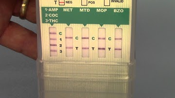 EZ Split Cup 7 drug test kit training pack part 4 the results