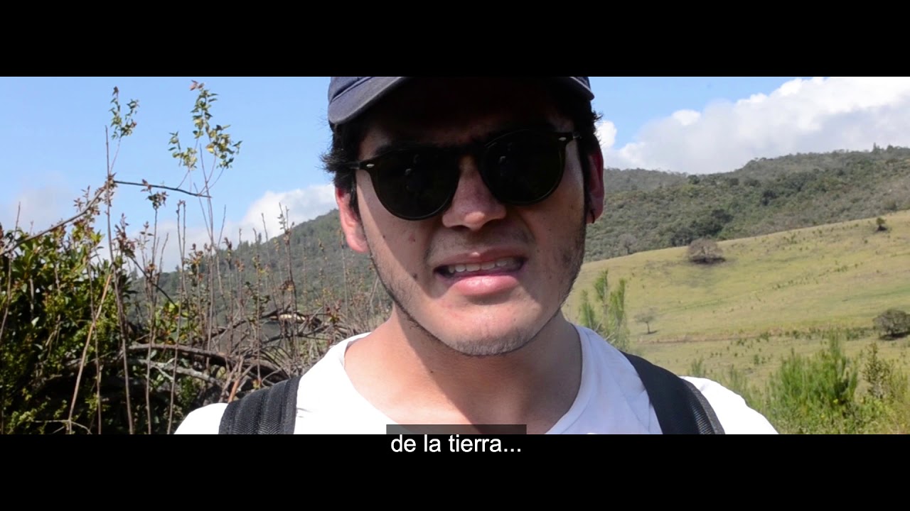 Questions & Answers Impacto Ambiental