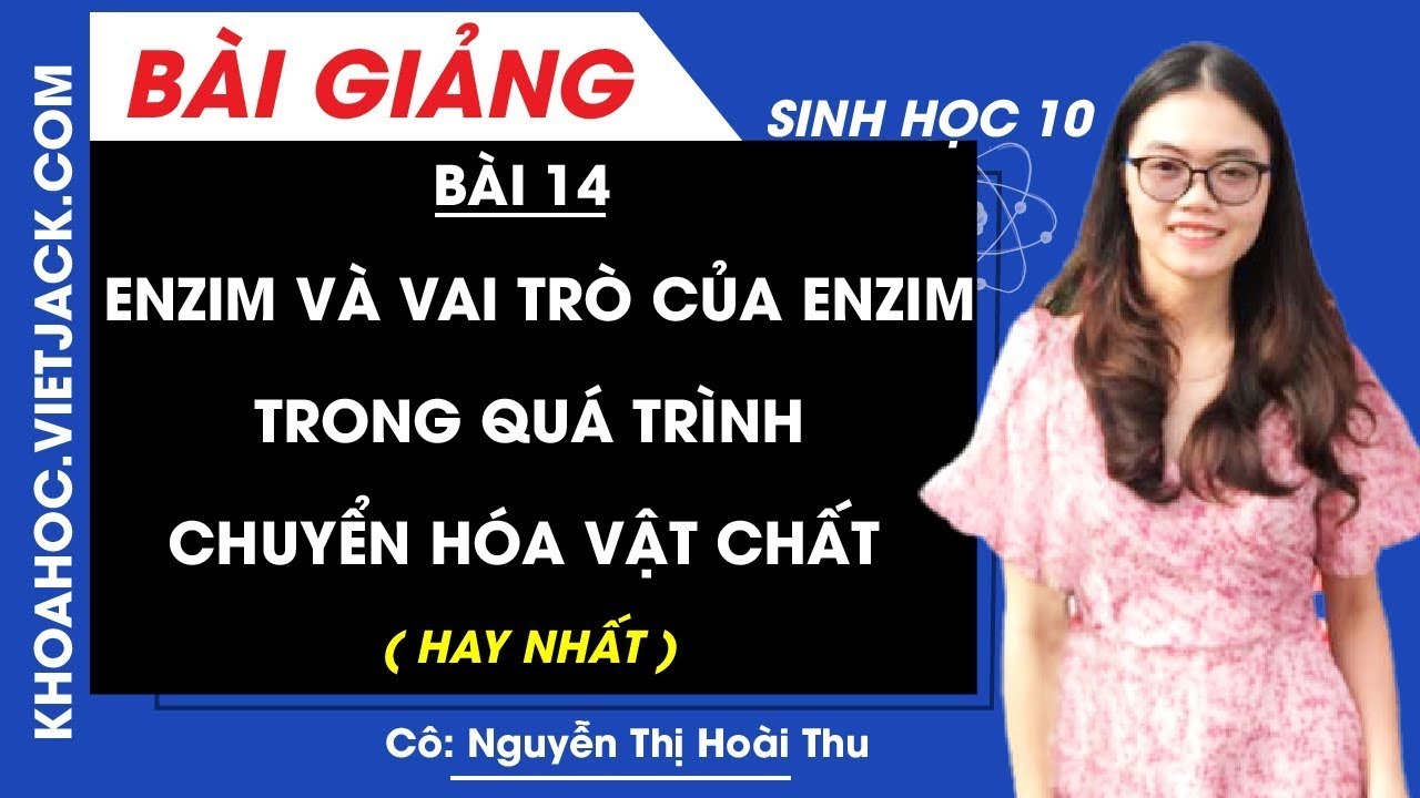 Enzim và vai trò của enzim trong quá trình chuyển hóa vật chất - Bài 14 - Sinh học 10 (HAY NHẤT)