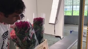 ROFOT-18.1 Automatissche fotokast voor de Bloemenbranche