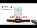 Bird in a cage Illusion | Motor Machines New | Tinker Lab at Home