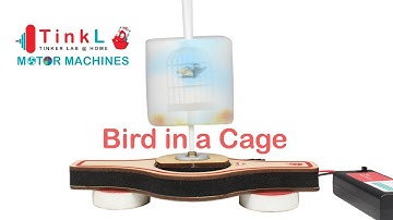 Bird in a cage Illusion | Motor Machines New | Tinker Lab at Home