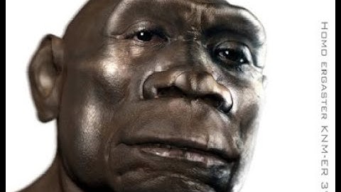 Need A FREE Fortnite Montage/Highlights Editor? **Free Projectfile**