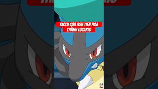 Riolu của Ash tiến hóa thà nh Luciario rồi Hà nh SML Huấn Rose | Pokemon Memories 4 | TigerQ #shorts Riolu của Ash tiến hóa thà nh Luciario rồi Hà nh SML Huấn Rose | Pokemon Memories 4 | TigerQ #shorts